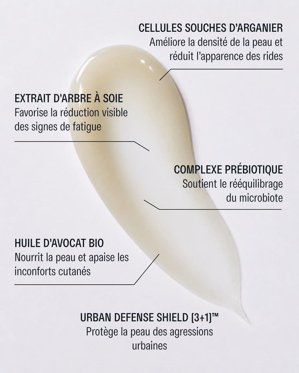 Texture et ingredients Concentre Regenerant